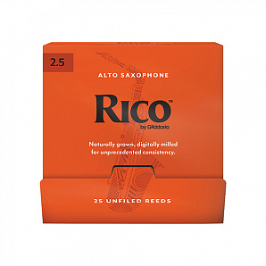 RJA0125-B25 Rico    ,  2.5, 25   , Rico