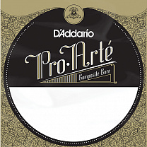 J4603C Pro-Arte  3-    , ,  , D'Addario