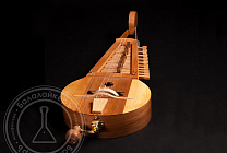 HGD-D01 Hurdy-gurdy Don   , 
