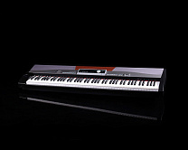 SP5100+stand Slim Piano  ,   (2 ), Medeli