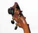 PW-CT-12 NS Mini Headstock   , Planet Waves